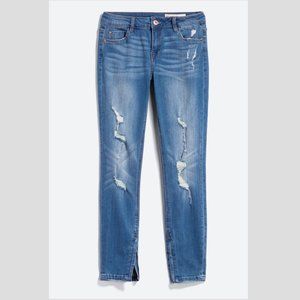 Tory Distressed Ankle Zip Skinny Jean